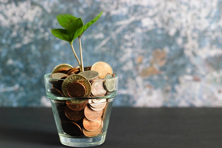 Plant in money pot