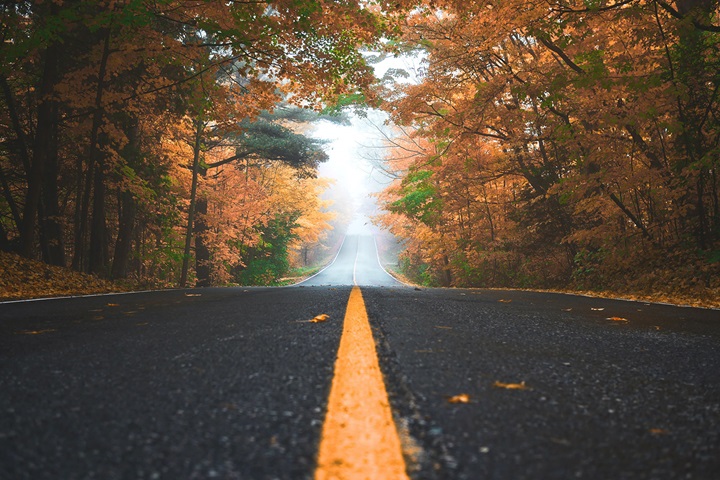 Road in autumn