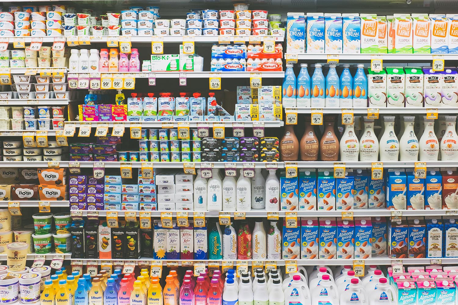 Dairy products on display